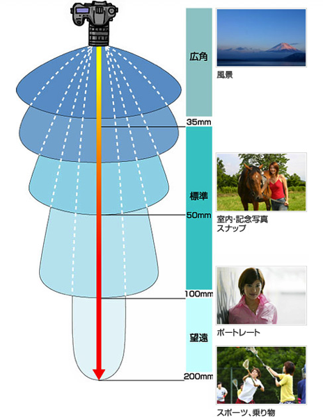 動物園で時間を忘れて撮影に没頭できるレンズ。おすすめ望遠ズーム