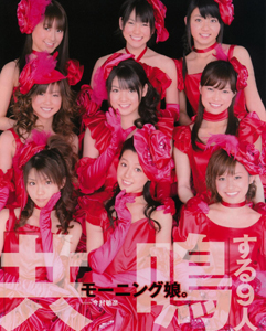 モーニング娘。コンサートツアー 2008 春～シングル大全集！！～