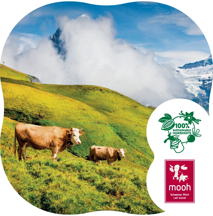 カルマ 100%サスティナブル クーベルチュール | 大和貿易株式会社