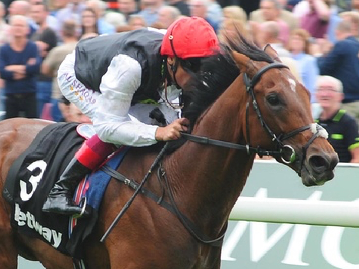 2023年仏ダービー(ジョッケクルブ賞)の結果 エースインパクトが衝撃的