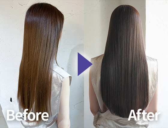 2025年最新版！イルミナカラー新色「アース コレクション」徹底ガイド