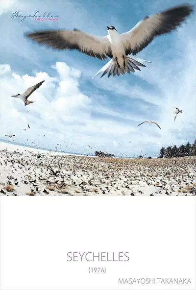 SEYCHELLES(LP/180g/クリア・スカイ・ブルー・ヴァイナル)/MASAYOSHI