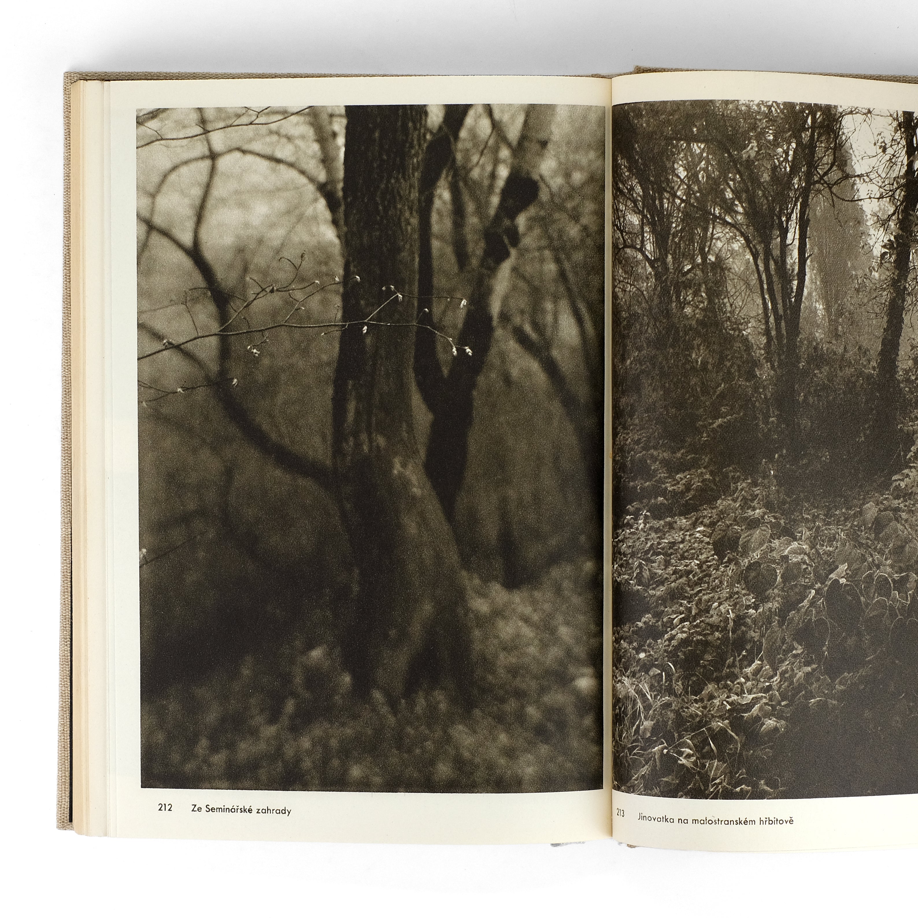 Josef Sudek / Fotografie / 1956 Monograph – Dividing Line Books
