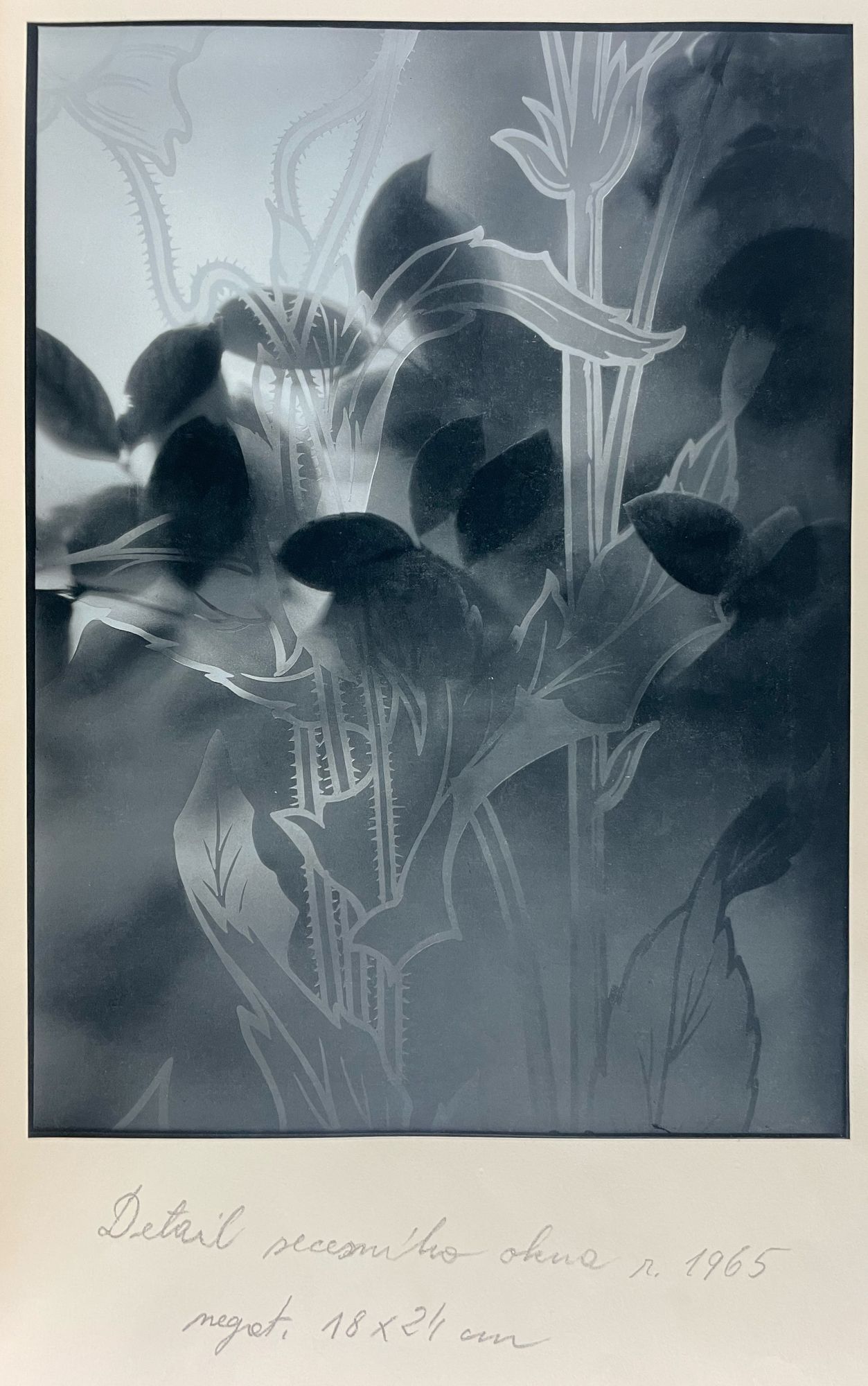 Josef Sudek signed, with an Original Photograph of Josef Sudek by