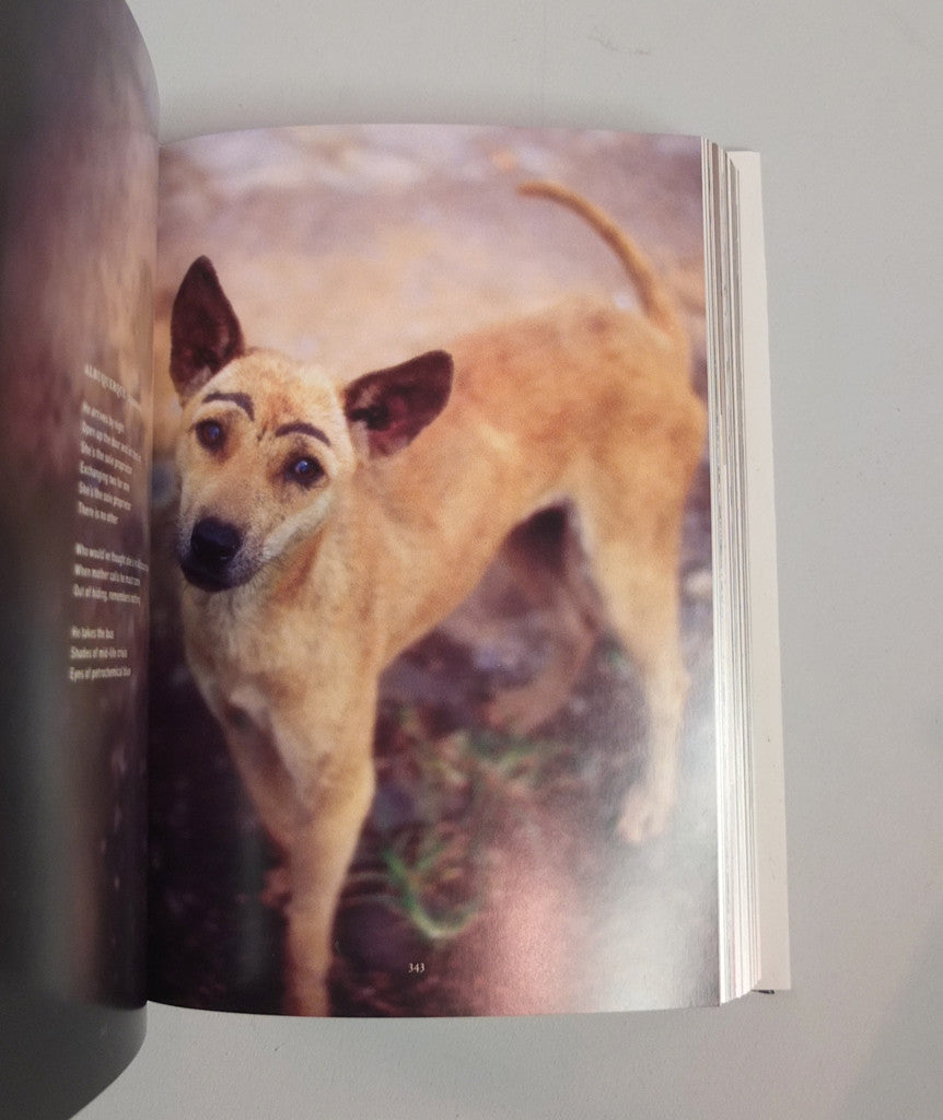 Donlon Books | Hypergraphia: The Writings of David Sylvian 1980–2014