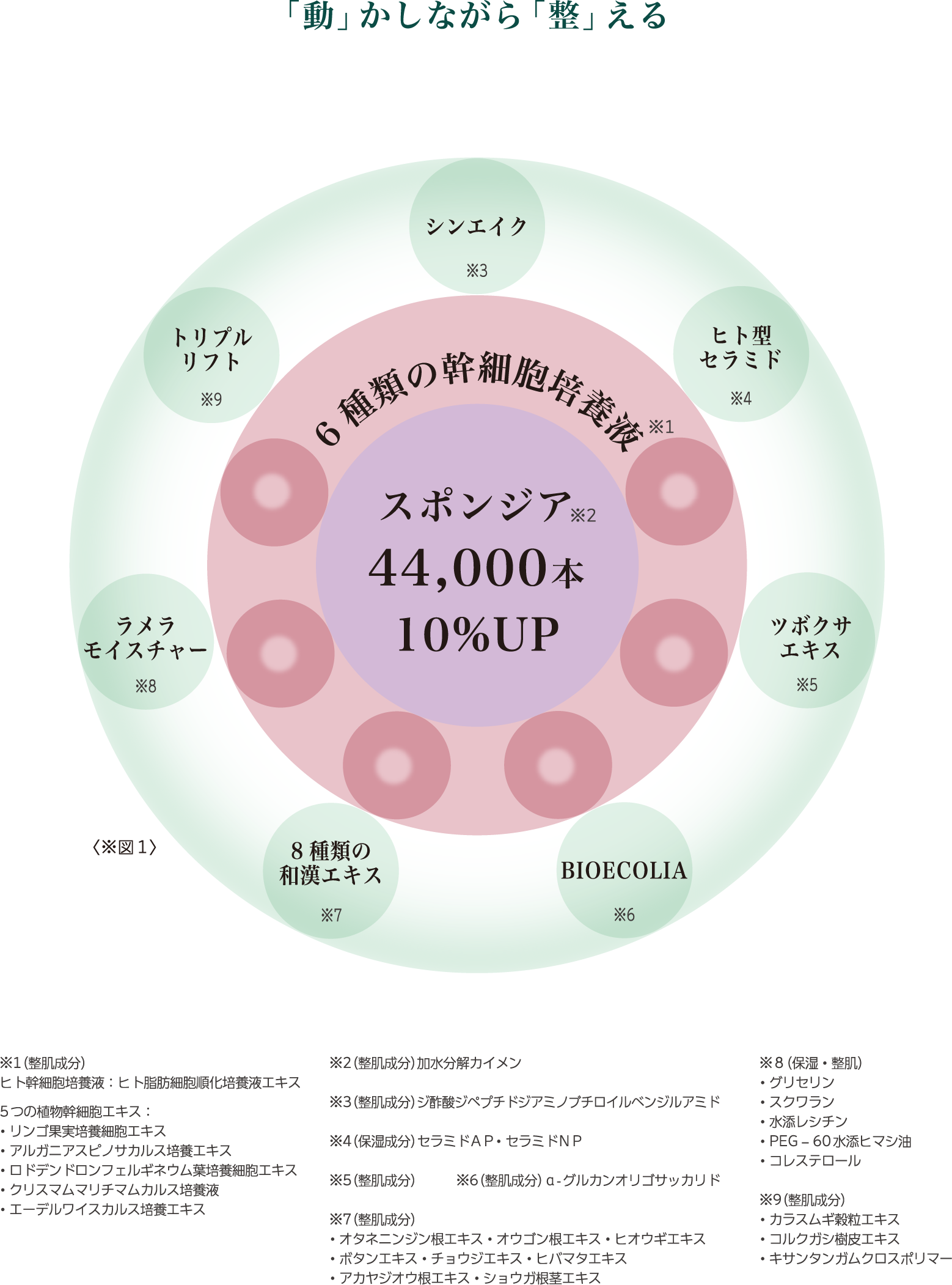 ZAC PACK｜DOC Skincare｜肌のチカラを高め、肌を育む。自宅でできる高