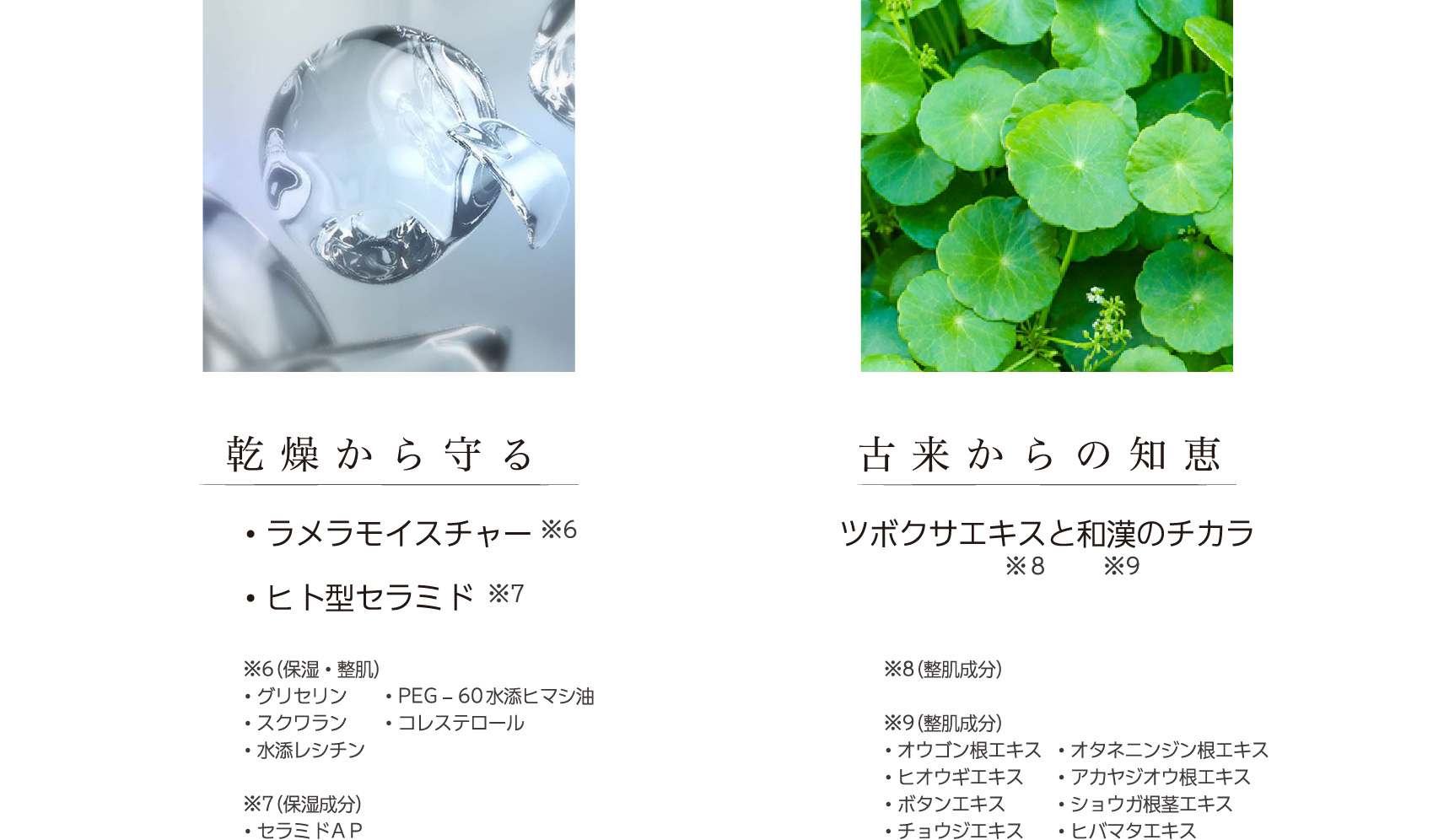 ZAC PACK｜DOC Skincare｜肌のチカラを高め、肌を育む。自宅でできる高