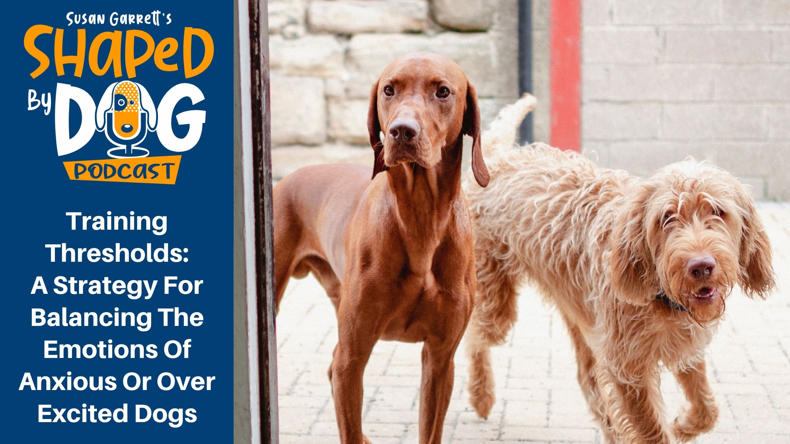 Transcript of Episode 268: Training Thresholds: A Strategy For