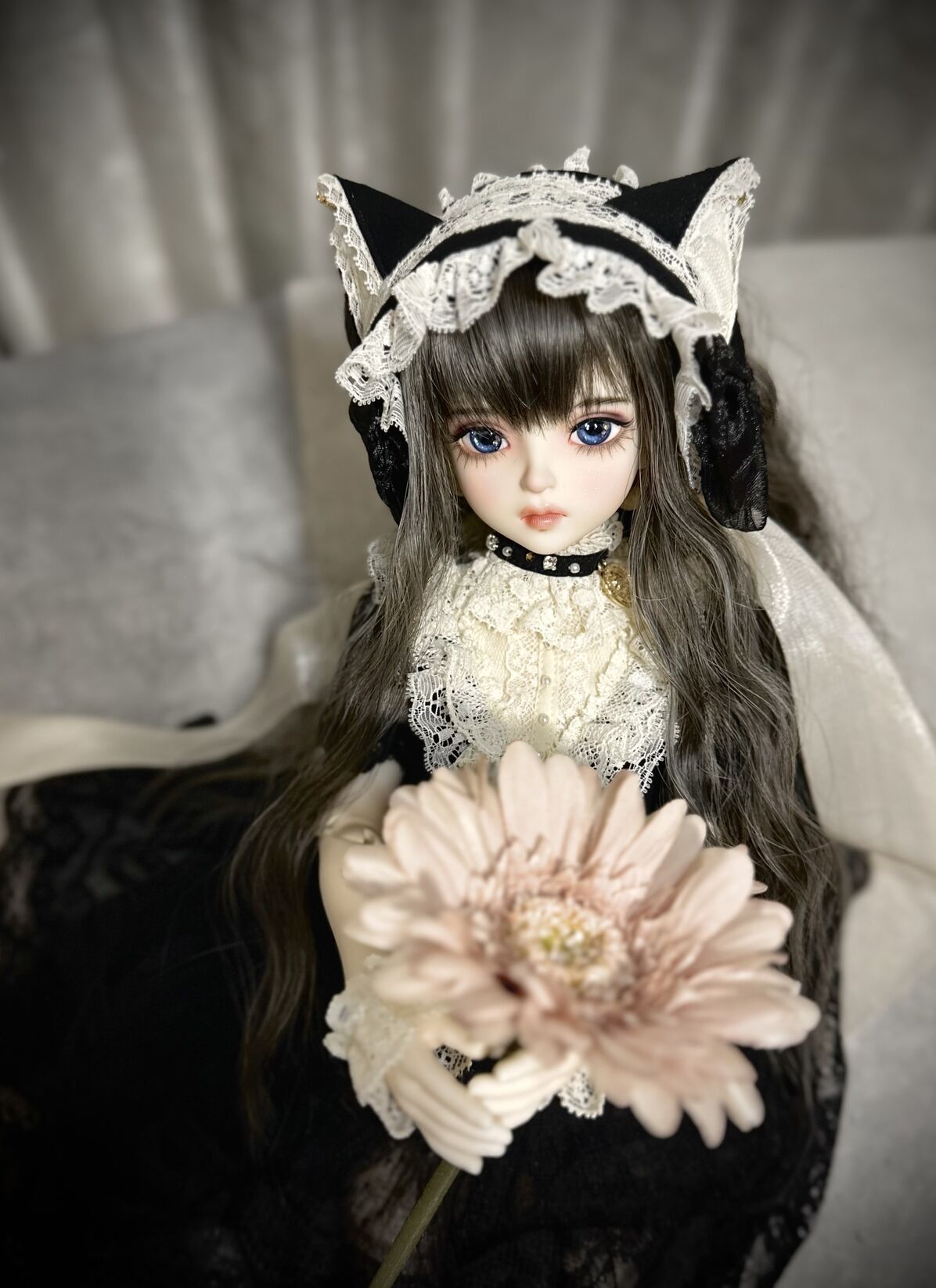 DOLK×MELODY.C×MYOU DOLL】黒猫Delia ver. Limited - Special