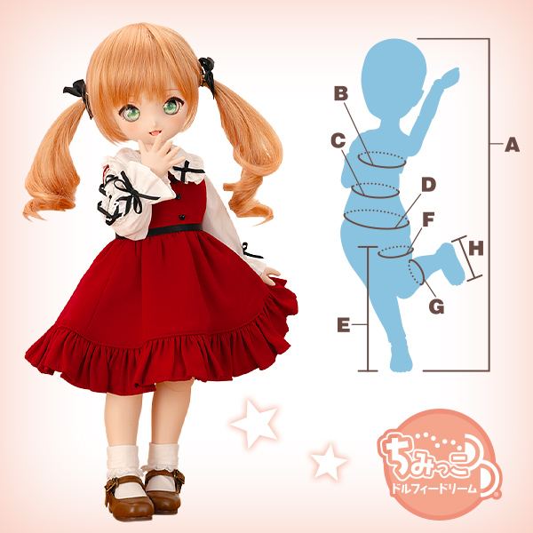 DDボディサイズと種類 | ボークス公式 ドルフィー総合サイト