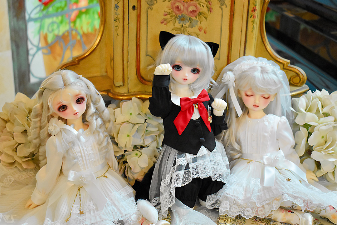 Event After Report】SDオーナーズ感謝お茶会 in ソウル2025