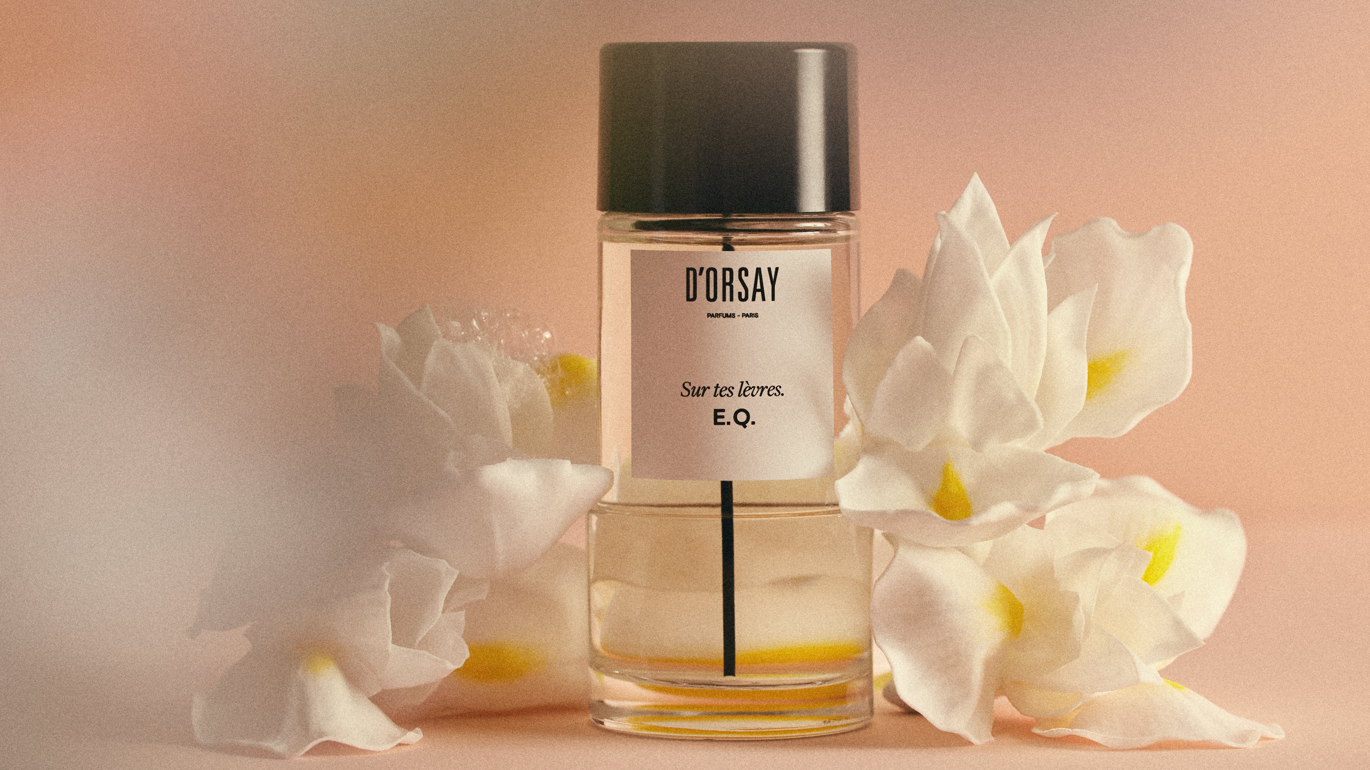 フレグランスオブジェクトセレナイト - ドルセー ジャパン (d'Orsay