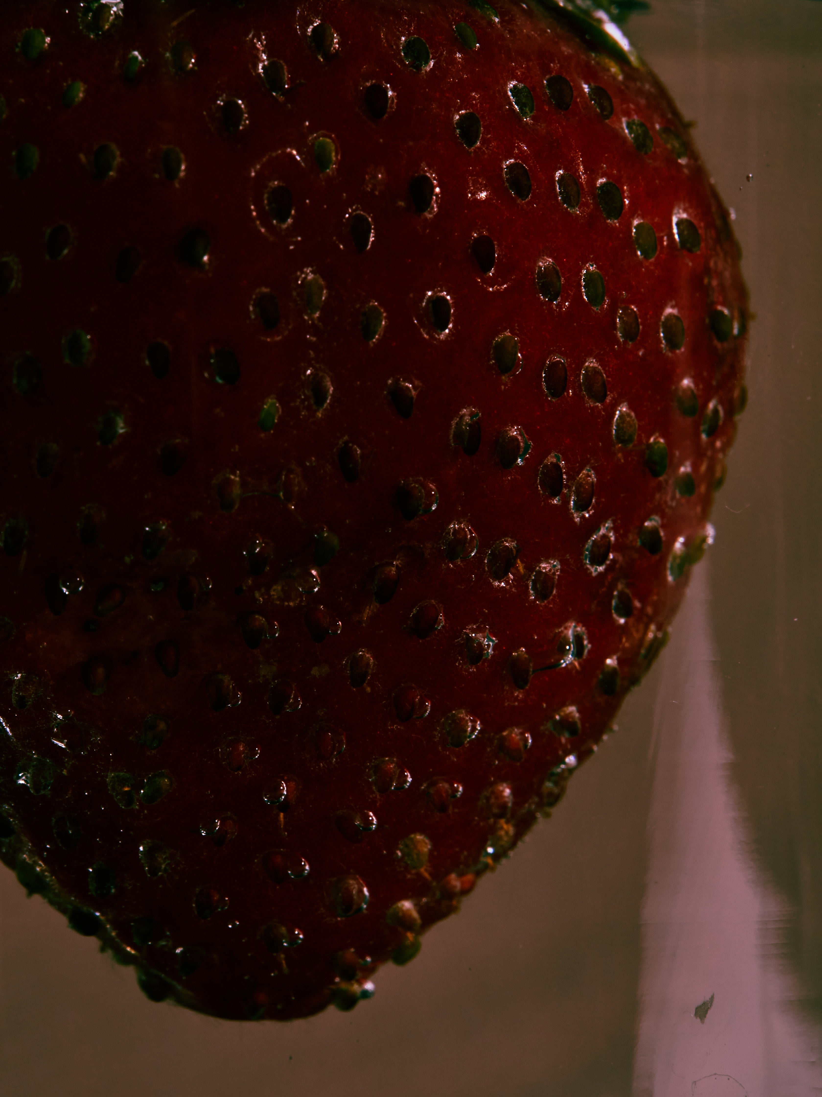 Holy berry ボディフレグランス - ドルセー ジャパン (d'Orsay Japan