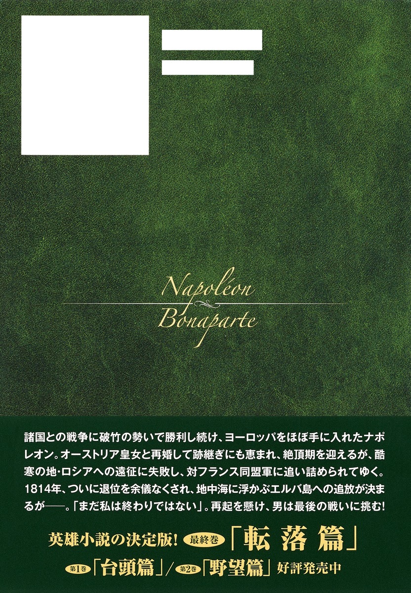 ナポレオン 3 転落篇／佐藤 賢一 | 集英社 ― SHUEISHA ―