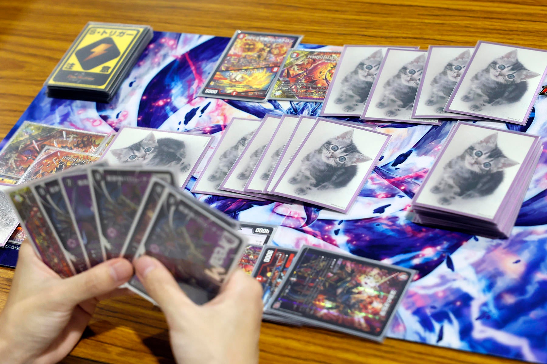 DMGP2024-2nd Day1（アドバンス） 準々決勝：猫由 vs. かい | デュエル