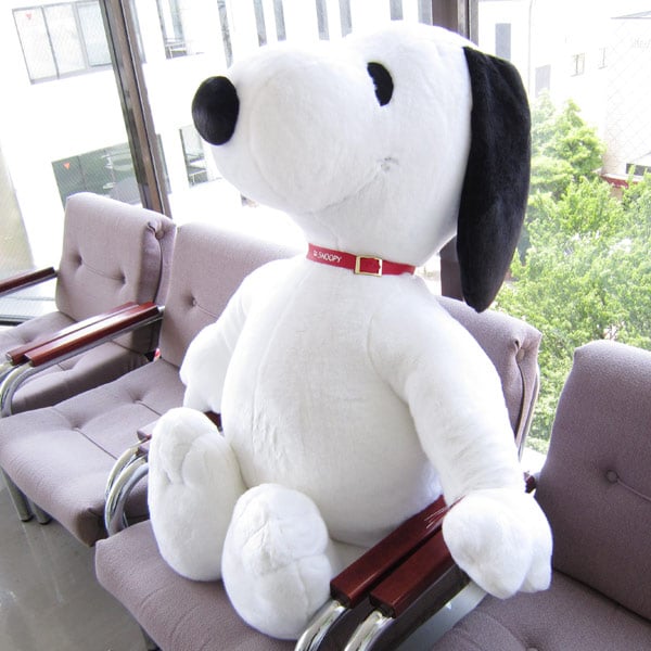 dショッピング |ぬいぐるみ 特大 スヌーピー スタンダード 5L snoopy