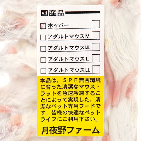 dショッピング |冷凍☆M ホッパーマウス（10匹） 月夜野ファーム