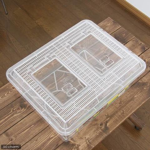 dショッピング |プラケース 飼育容器 特大フラット クリア（430