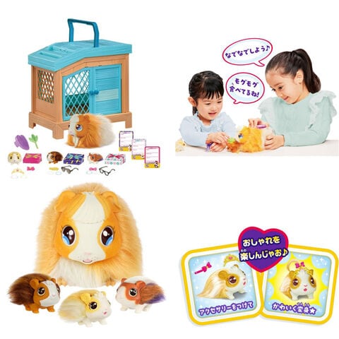 dショッピング |【送料無料！】ママサプライズ! (モルモット 親子