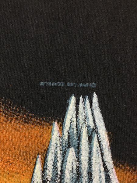 古着 90s LED ZEPPELIN 「Swan Song」 ヘヴィ メタル ロック バンド