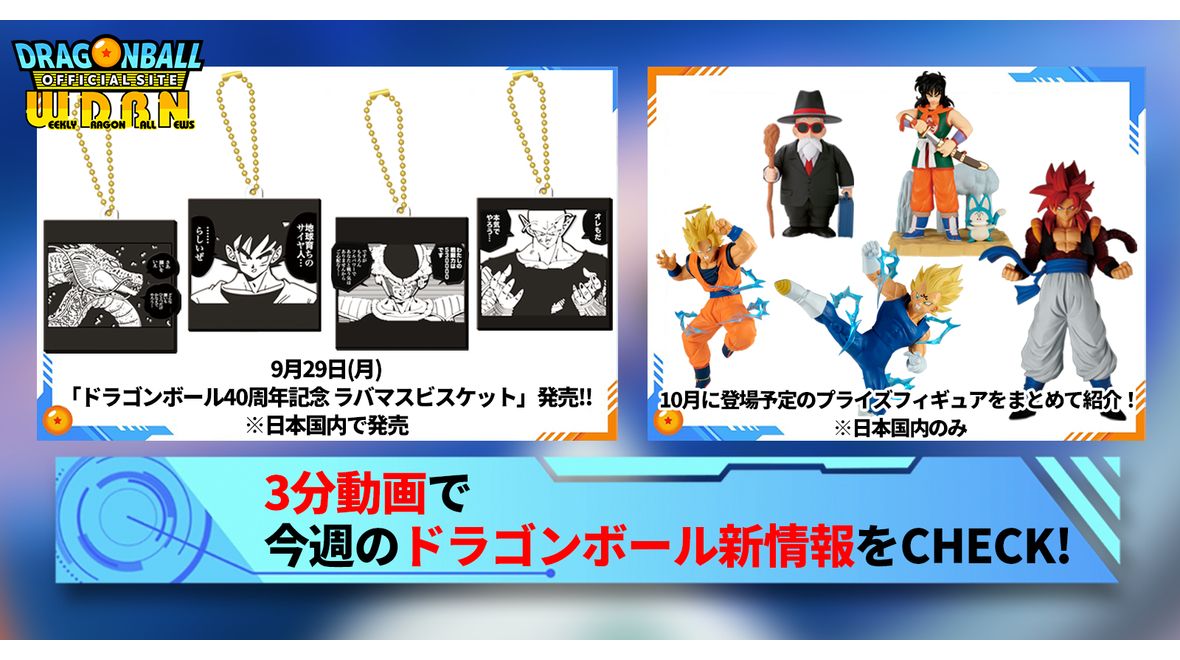 ブルマ 孫悟空少年期 アルティメットバトル プロモ 孫悟飯 幼年期 優勝