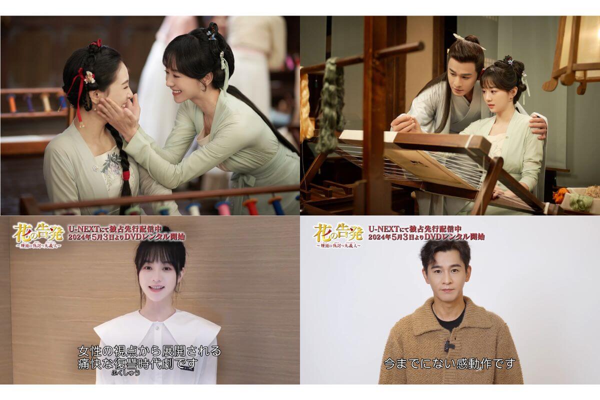 中国発！最旬復讐時代劇『花の告発～煙雨えんうに仇討つ九義人