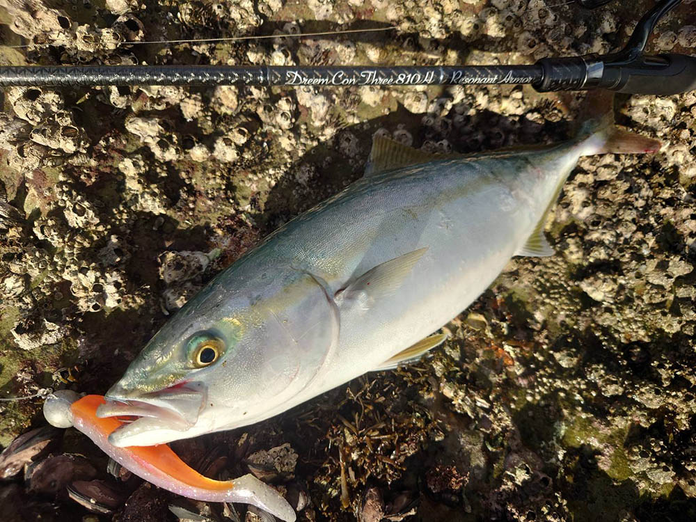 ドリームコンスリー810HRAでヤズゲーム（進藤慧） – DreemUp