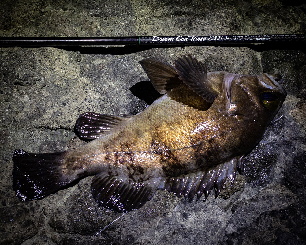 沖の海中を可視化するロッド。フロート特化モデル～ドリームコンスリー