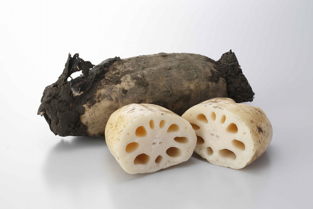 岩国れんこんカレーと蓮根細麺セット: せとうちエリア│DISCOVER WEST