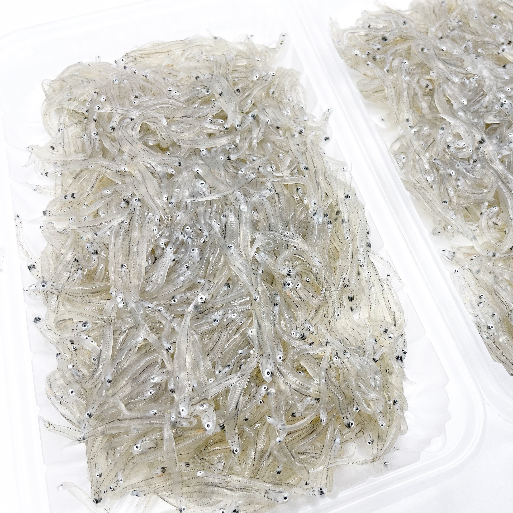 増富商店 冷凍生しらす 100g×2p: 近畿エリア│DISCOVER WEST mall