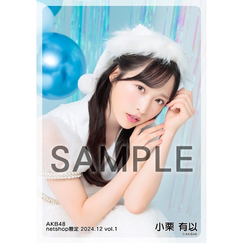 予約商品】AKB48 2024年12月度 net shop限定個別生写真5枚セットvol.1