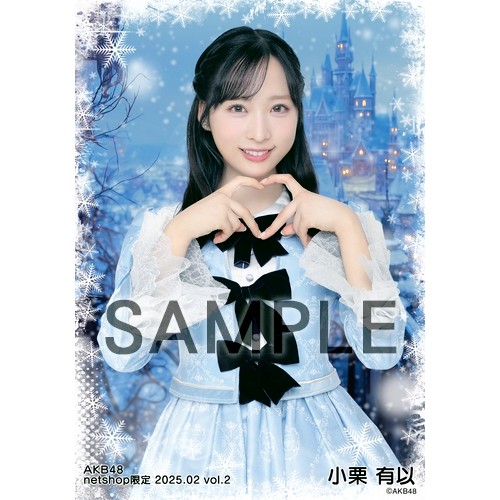 予約商品】AKB48 2025年2月度 net shop限定個別生写真5枚セットvol.2