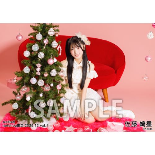 予約商品】AKB48 2025年12月度 net shop限定個別生写真5枚セットvol.1