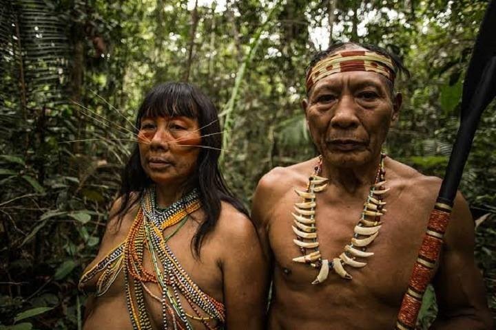 2026 ネイティブコミュニティと部族の12日間ツアー「グリーンワイルド