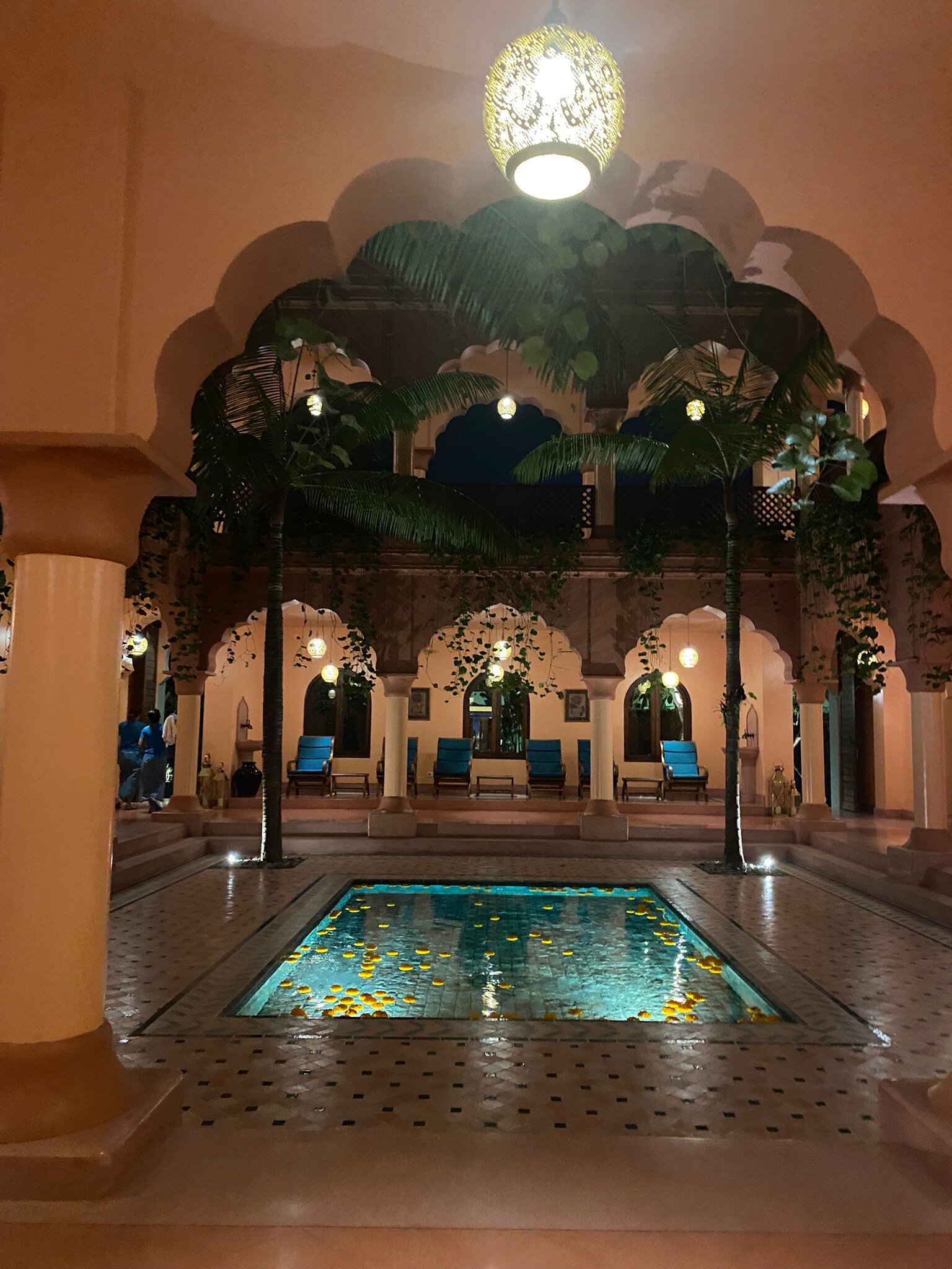 nice.jpg?w=1200&h=1200&s=1