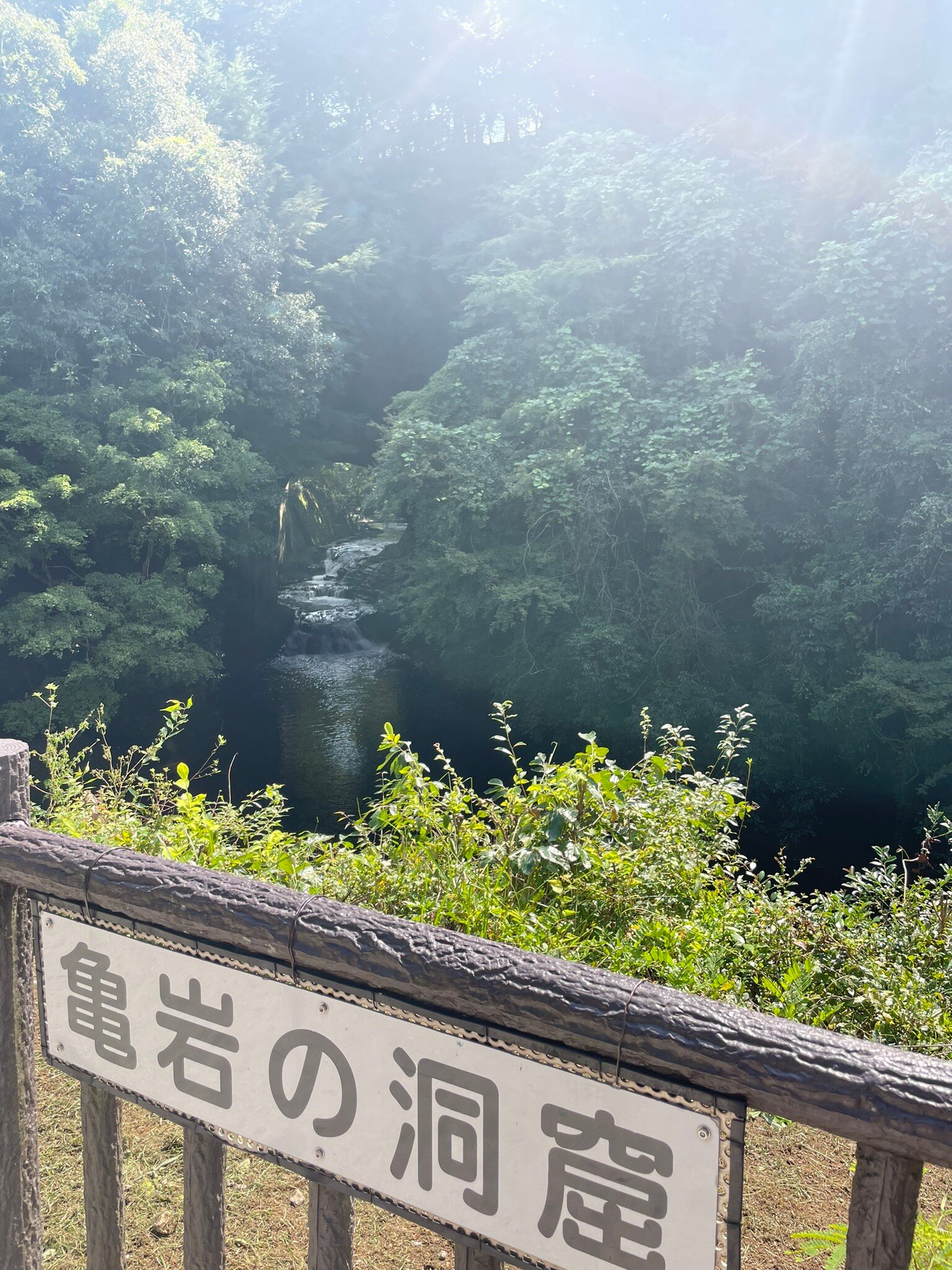 2026年 清水渓流広場 濃溝の滝・亀岩の洞窟 - 出発前に知っておくべき