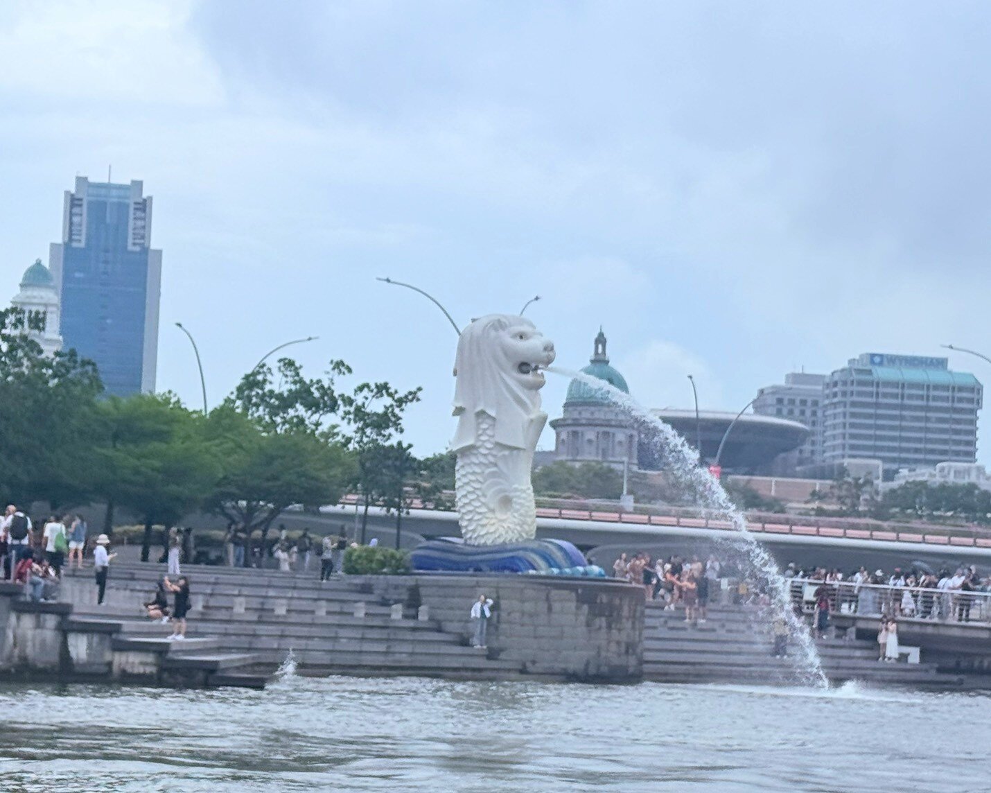 2026年 ダック アンド ヒッポ - 出発前に知っておくべきことすべて