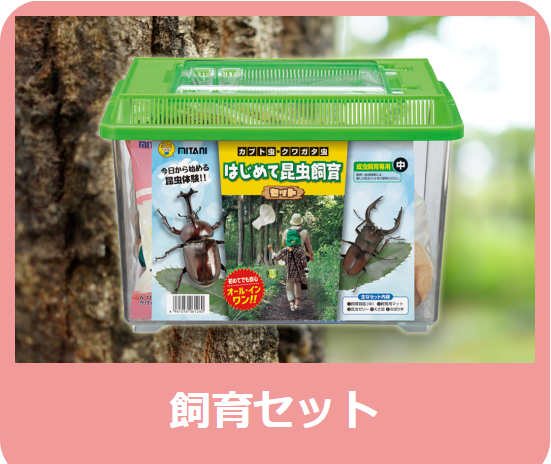 ぼくの宝箱 - 株式会社ミタニ