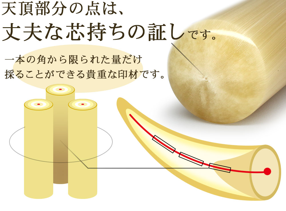 牛角(柄)印鑑 個人用 | 印鑑の西野オンライン工房