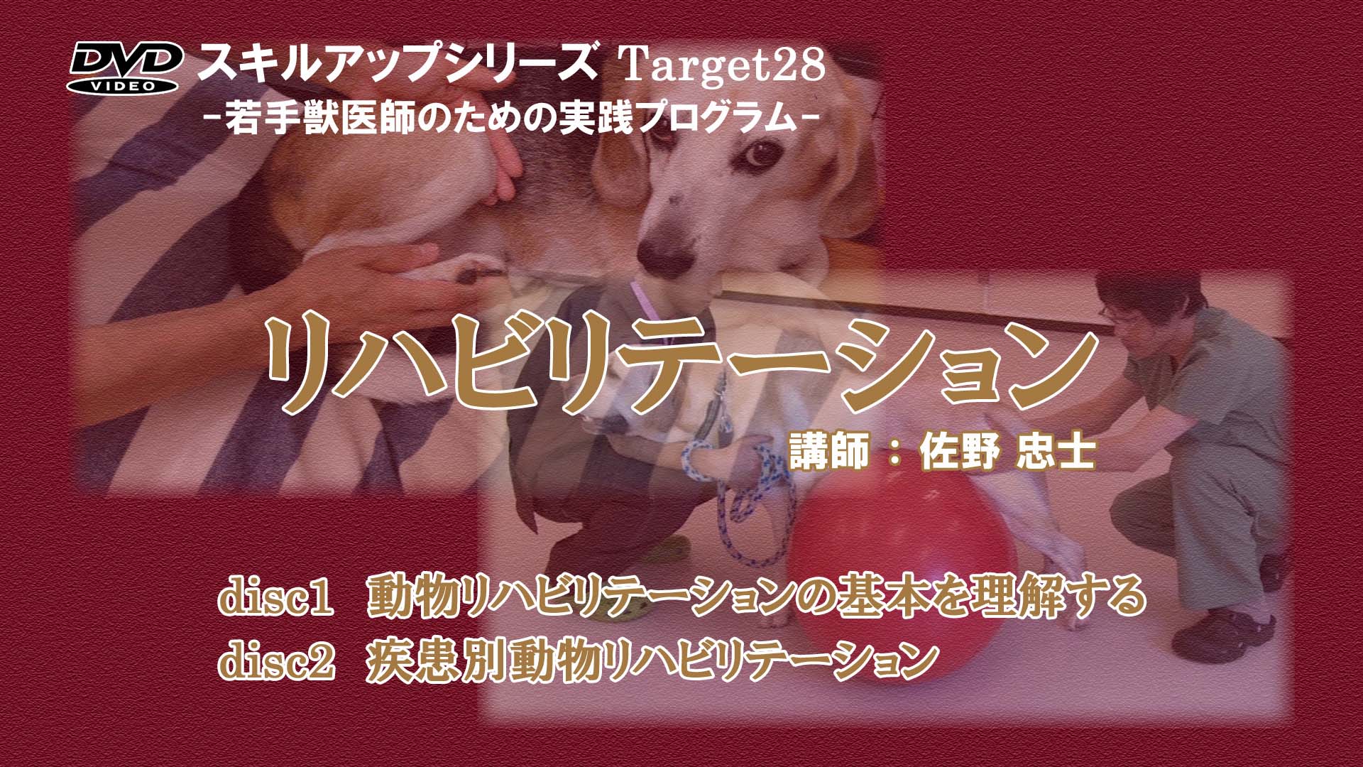 エレファントTV | エレファントTV