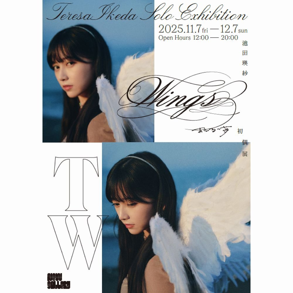乃木坂46 池田瑛紗 「wings:あひるの夢」 ラグ てれぱんだ 乃木坂46