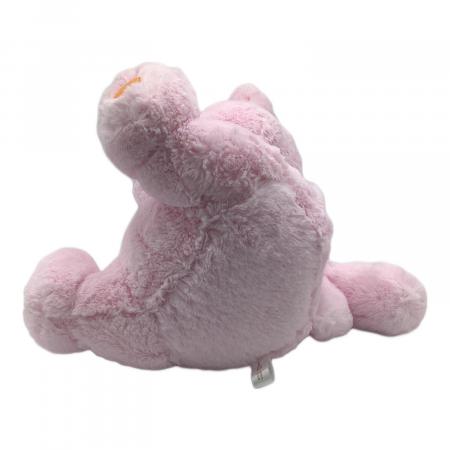 Pokemon Center (ポケモンセンター) ポケモングッズ おっきいふわふわ