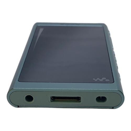 SONY (ソニー) WALKMAN NW-A55 動作確認・初期化済み｜トレファクONLINE