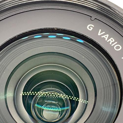 Panasonic (パナソニック) LUMIX GF1 LUMIX G LENS KIT DMC-GF1