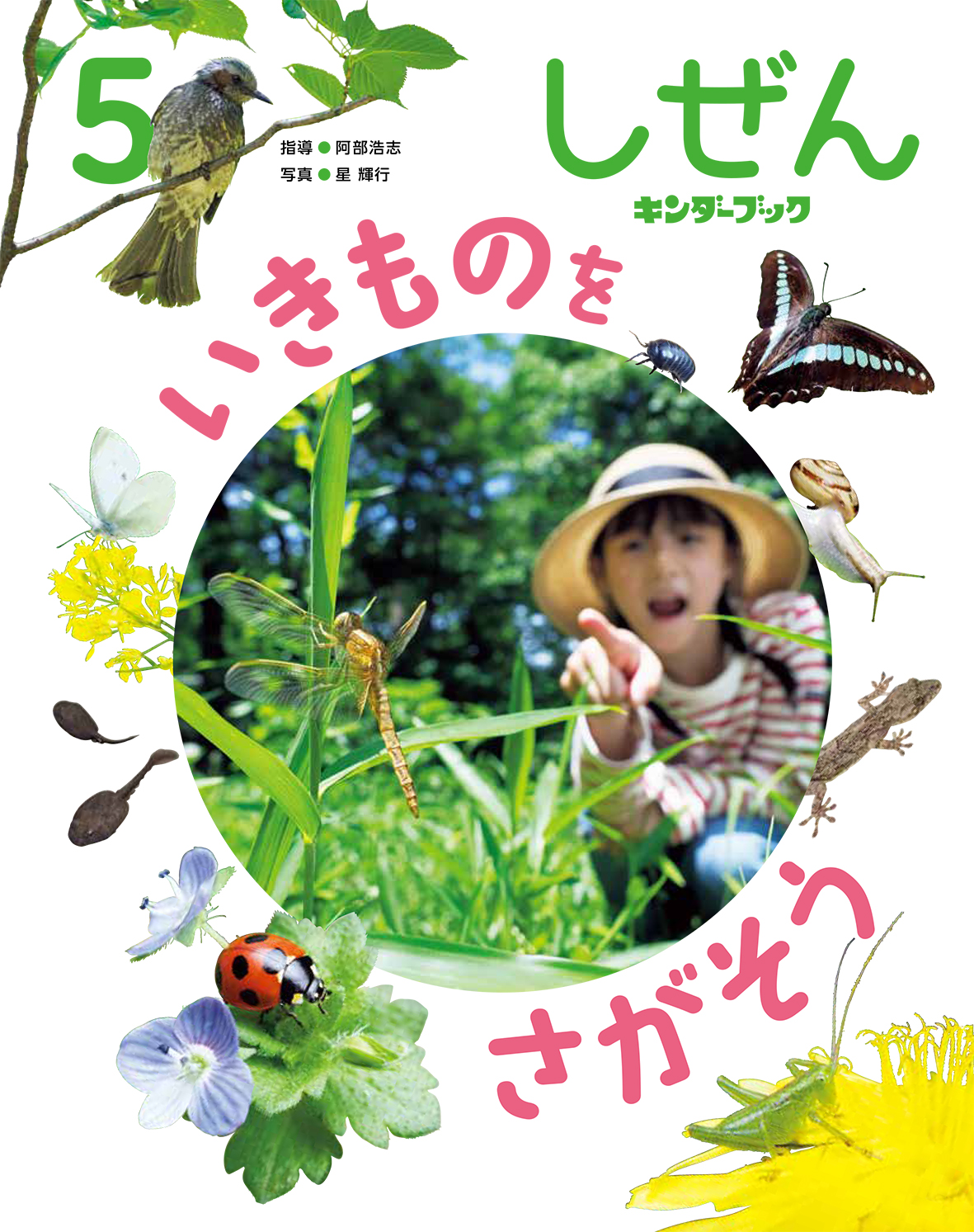 フレーベル館オンラインショップ｜しぜんキンダーブック2025年5月号
