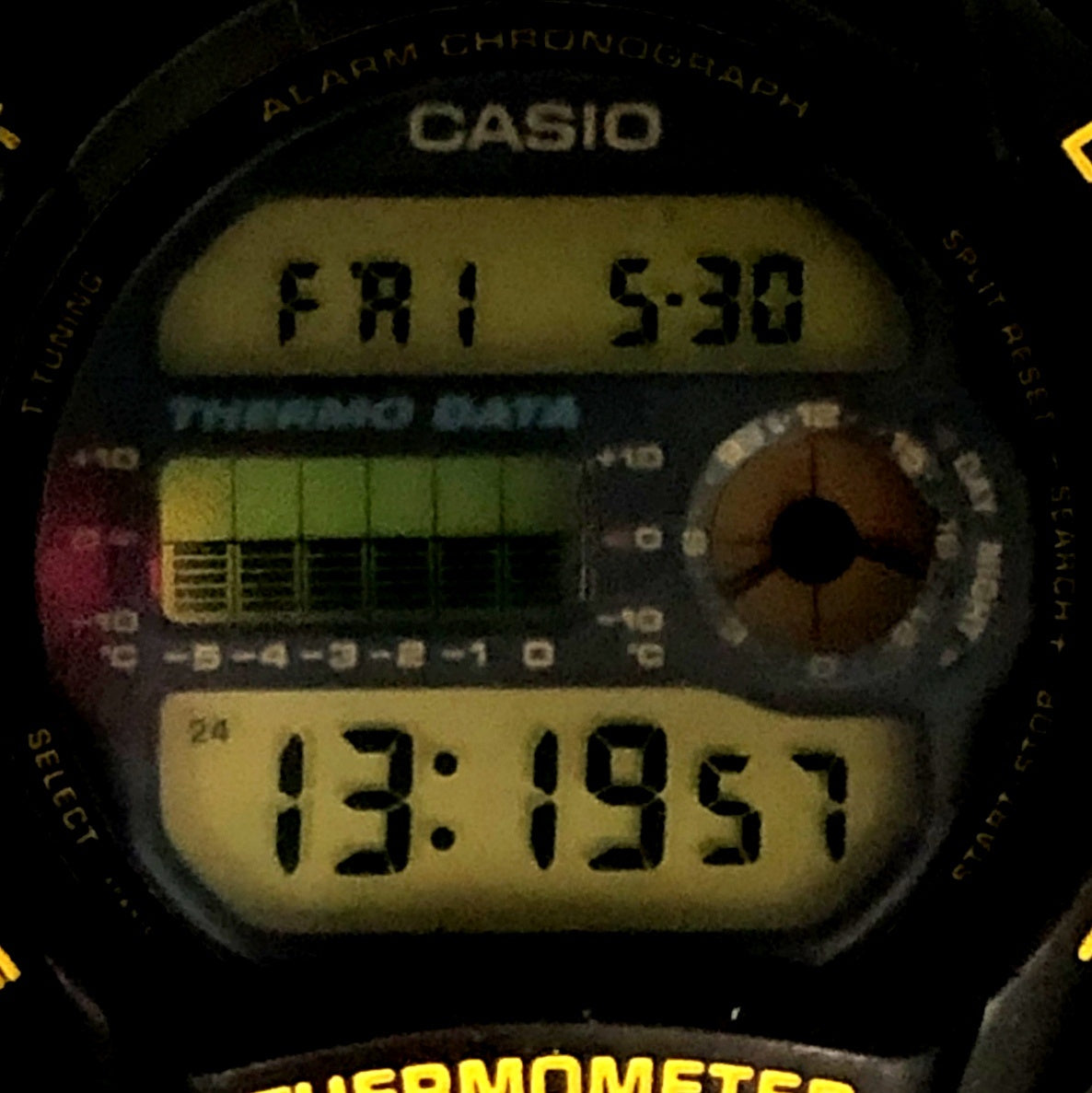 DW-6100DW-9 初代イルカクジラモデル – G-BRIDGES