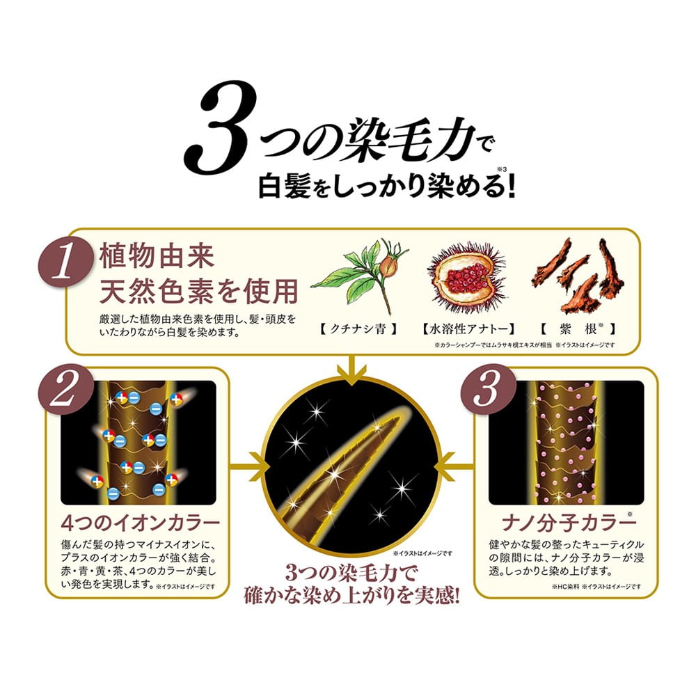 ピュール 利尻ヘアカラートリートメント ブラック: サンドラッグ｜JAL