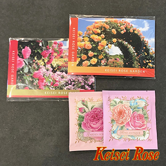 京成バラ園オリジナル】ポストカードティ ポストカード＆バラの香りの