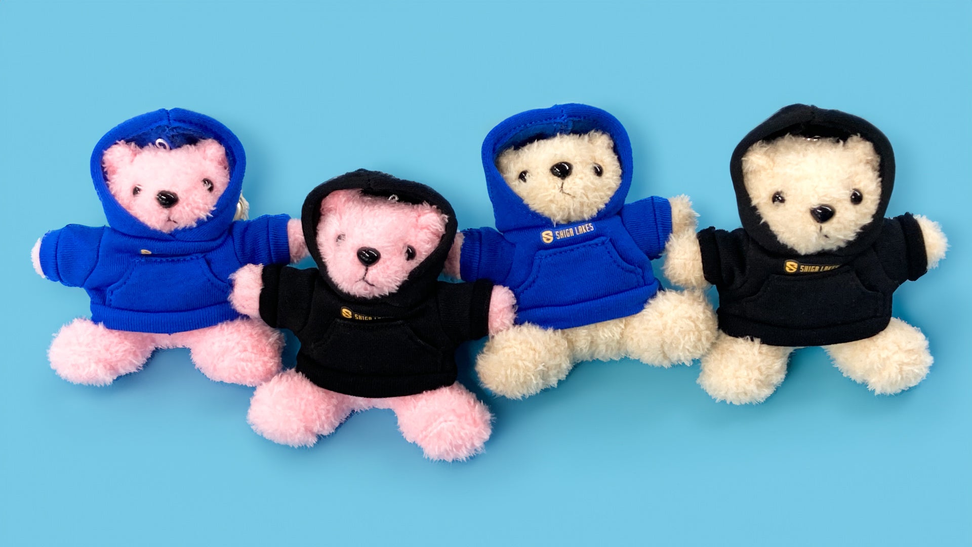 フードパーカーベア＆フォトタオルベアのご紹介！ – 滋賀レイクス公式