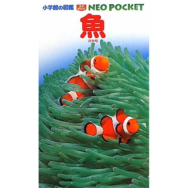 mic21ダイビングショップ[ 小学館 ] 魚 (小学館の図鑑 NEOポケット
